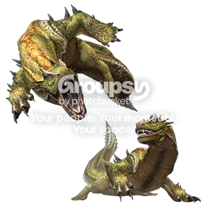 User Image